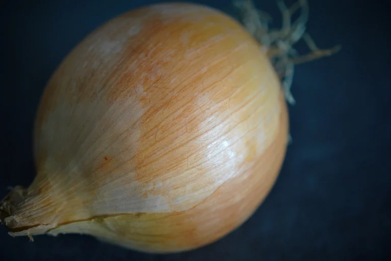 Onion