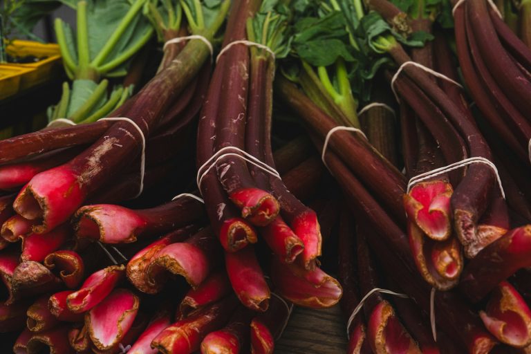 rhubarb
